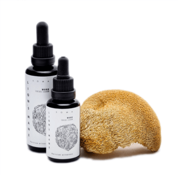 Lion's Mane tinctuur (Hericium erinaceus extract) - KÄÄPÄ Health