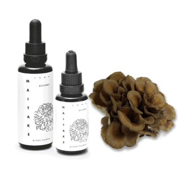 Maitake tinctuur (Grifola frondosa extract) KÄÄPÄ Health