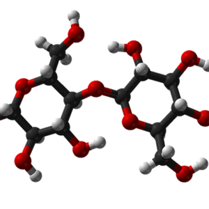 Polysaccharide