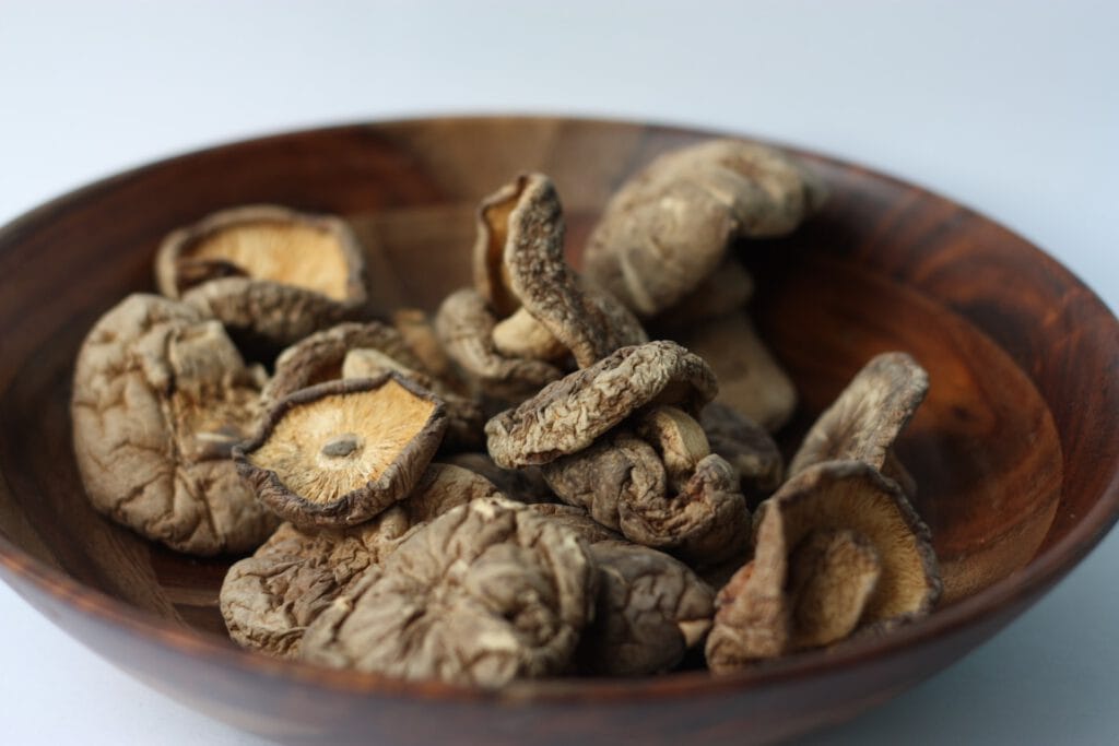 Gedroogde vruchtlichamen van shiitake